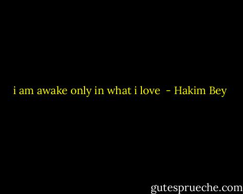 i am awake only in what i love  - Hakim Bey
