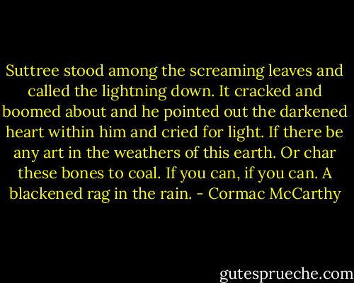 Suttree stood among the screaming leaves and called the lightning down. It cracked and boomed about and he pointed out the darkened heart within him and cried for light. If there be any art in the weathers of this earth. Or char these bones to coal. If you can, if you can. A blackened rag in the rain. - Cormac McCarthy