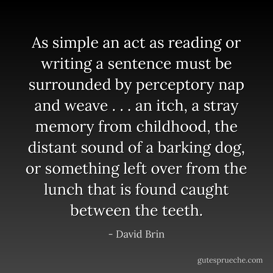 As simple an act as reading or writing a sentence must be surrounded by perceptory nap and weave . . . an itch, a stray memory from childhood, the distant sound of a barking dog, or something left over from the lunch that is found caught between the teeth. - David Brin