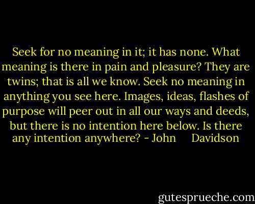 Seek for no meaning in it; it has none. What meaning is there in pain and pleasure? They are twins; that is all we know. Seek no meaning in anything you see here. Images, ideas, flashes of purpose will peer out in all our ways and deeds, but there is no intention here below. Is there any intention anywhere? - John     Davidson