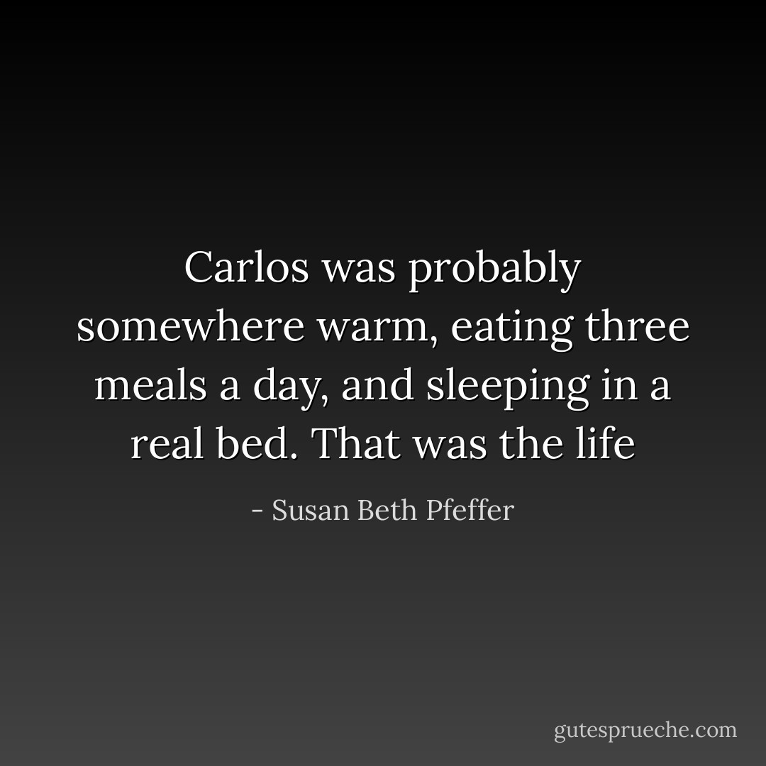 Carlos was probably somewhere warm, eating three meals a day, and sleeping in a real bed. That was the life - Susan Beth Pfeffer