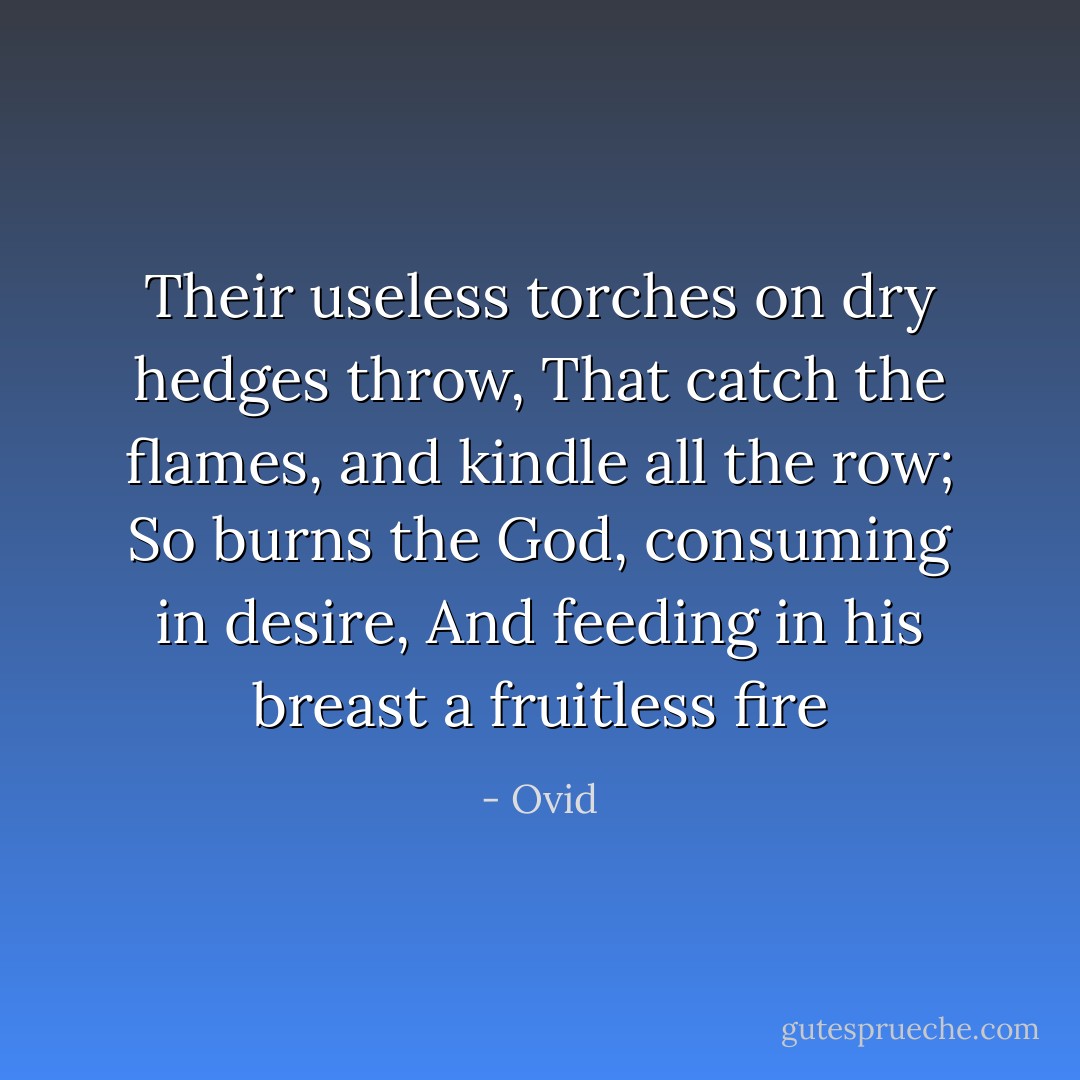 Their useless torches on dry hedges throw,<br />That catch the flames, and kindle all the row;<br />So burns the God, consuming in desire,<br />And feeding in his breast a fruitless fire - Ovid