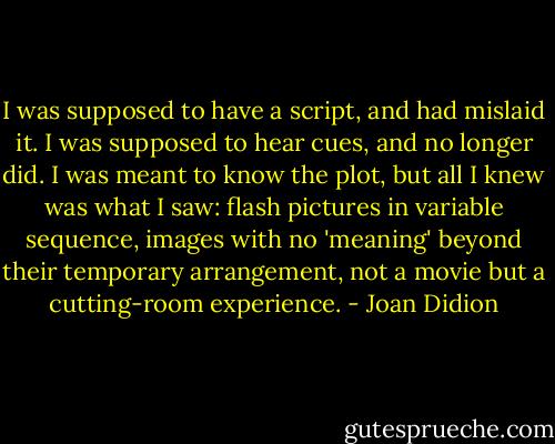 I was supposed to have a script, and had mislaid it. I was supposed to hear cues, and no longer did. I was meant to know the plot, but all I knew was what I saw: flash pictures in variable sequence, images with no 'meaning' beyond their temporary arrangement, not a movie but a cutting-room experience. - Joan Didion