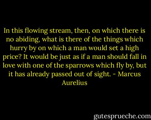 In this flowing stream, then, on which there is no abiding, what is there of the things which hurry by on which a man would set a high price? It would be just as if a man should fall in love with one of the sparrows which fly by, but it has already passed out of sight. - Marcus Aurelius