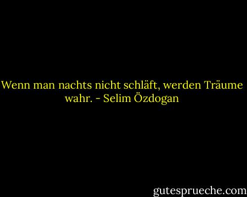 Wenn man nachts nicht schläft, werden Träume wahr. - Selim Özdogan