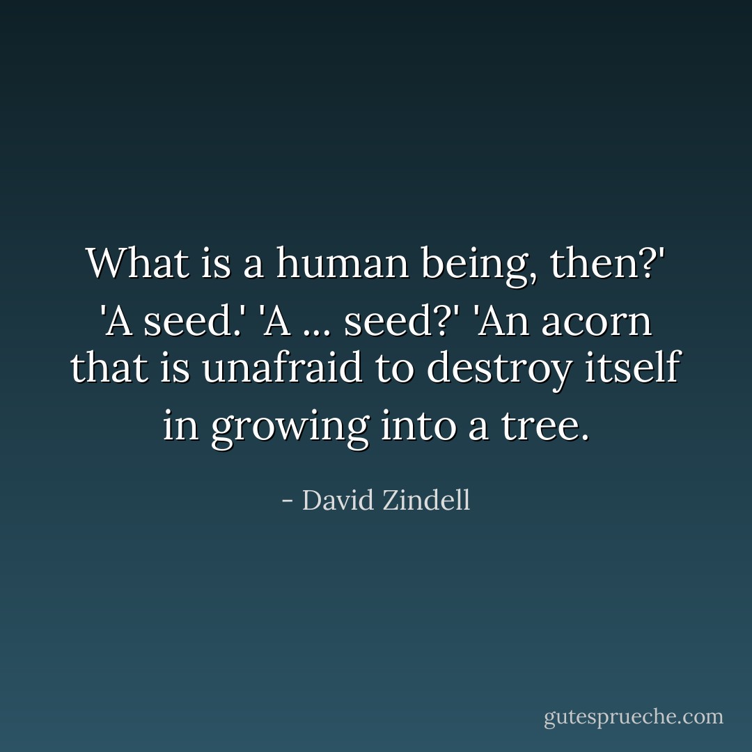 What is a human being, then?'<br />'A seed.'<br />'A ... seed?'<br />'An acorn that is unafraid to destroy itself in growing into a tree. - David Zindell