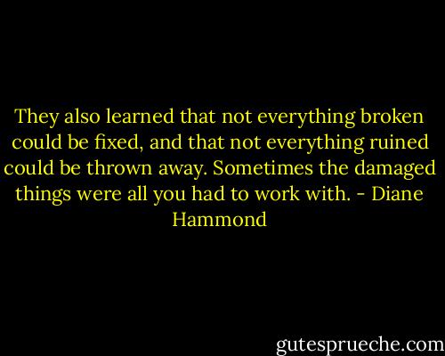 They also learned that not everything broken could be fixed, and that not everything ruined could be thrown away. Sometimes the damaged things were all you had to work with. - Diane Hammond