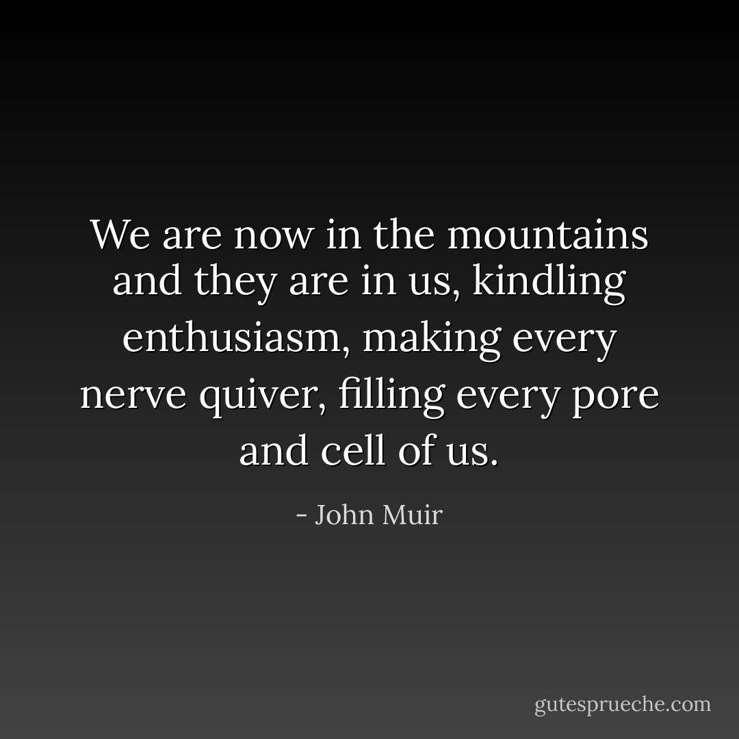 We are now in the mountains and they are in us, kindling enthusiasm, making every nerve quiver, filling every pore and cell of us. - John Muir