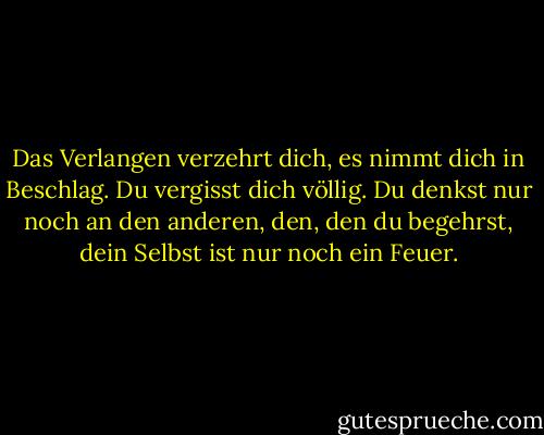 Das Verlangen verzehrt dich, es nimmt dich in Beschlag. Du vergisst dich völlig. Du denkst nur noch an den anderen, den, den du begehrst, dein Selbst ist nur noch ein Feuer. - Marilyn French<