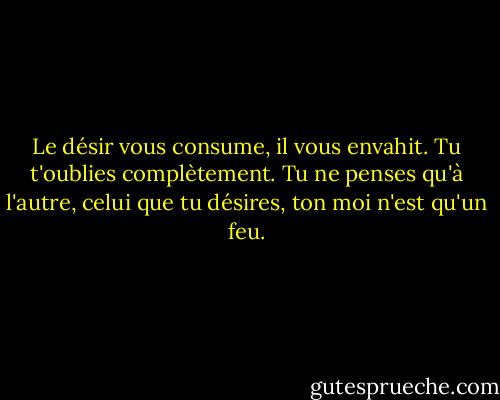 Le désir vous consume, il vous envahit. Tu t'oublies complètement. Tu ne penses qu'à l'autre, celui que tu désires, ton moi n'est qu'un feu. - Marilyn French