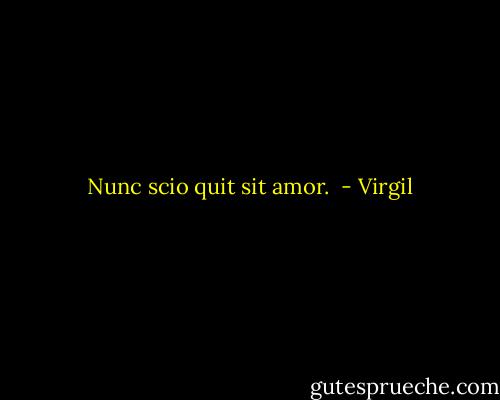  Nunc scio quit sit amor.  - Virgil