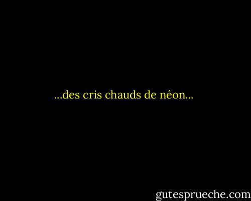 ...des cris chauds de néon... - Robert McCammon