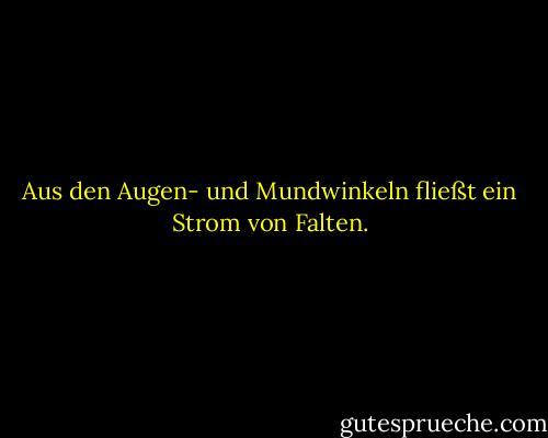 Aus den Augen- und Mundwinkeln fließt ein Strom von Falten. - Stephen King<