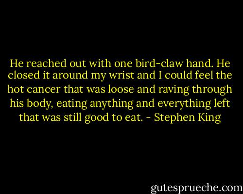 He reached out with one bird-claw hand. He closed it around my wrist and I could feel the hot cancer that was loose and raving through his body, eating anything and everything left that was still good to eat. - Stephen King