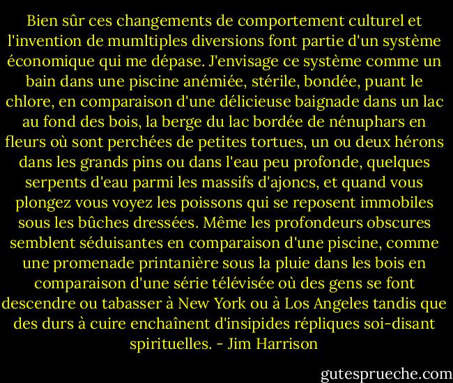 Bien sûr ces changements de comportement culturel et l'invention de mumltiples diversions font partie d'un système économique qui me dépase. J'envisage ce système comme un bain dans une piscine anémiée, stérile, bondée, puant le chlore, en comparaison d'une délicieuse baignade dans un lac au fond des bois, la berge du lac bordée de nénuphars en fleurs où sont perchées de petites tortues, un ou deux hérons dans les grands pins ou dans l'eau peu profonde, quelques serpents d'eau parmi les massifs d'ajoncs, et quand vous plongez vous voyez les poissons qui se reposent immobiles sous les bûches dressées. Même les profondeurs obscures semblent séduisantes en comparaison d'une piscine, comme une promenade printanière sous la pluie dans les bois en comparaison d'une série télévisée où des gens se font descendre ou tabasser à New York ou à Los Angeles tandis que des durs à cuire enchaînent d'insipides répliques soi-disant spirituelles. - Jim Harrison