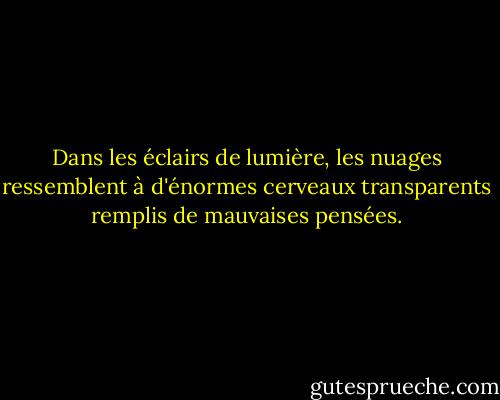 Dans les éclairs de lumière, les nuages ressemblent à d'énormes cerveaux transparents remplis de mauvaises pensées. - Stephen King
