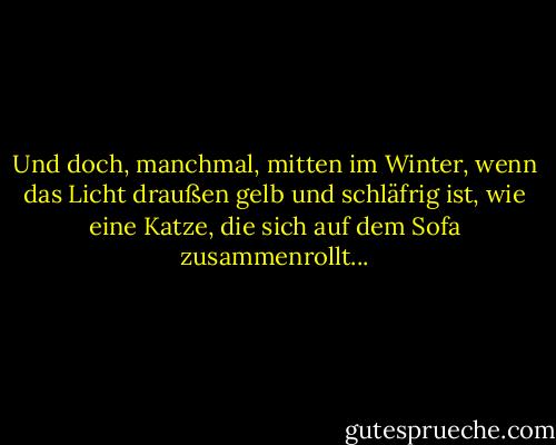 Und doch, manchmal, mitten im Winter, wenn das Licht draußen gelb und schläfrig ist, wie eine Katze, die sich auf dem Sofa zusammenrollt... - Stephen King<