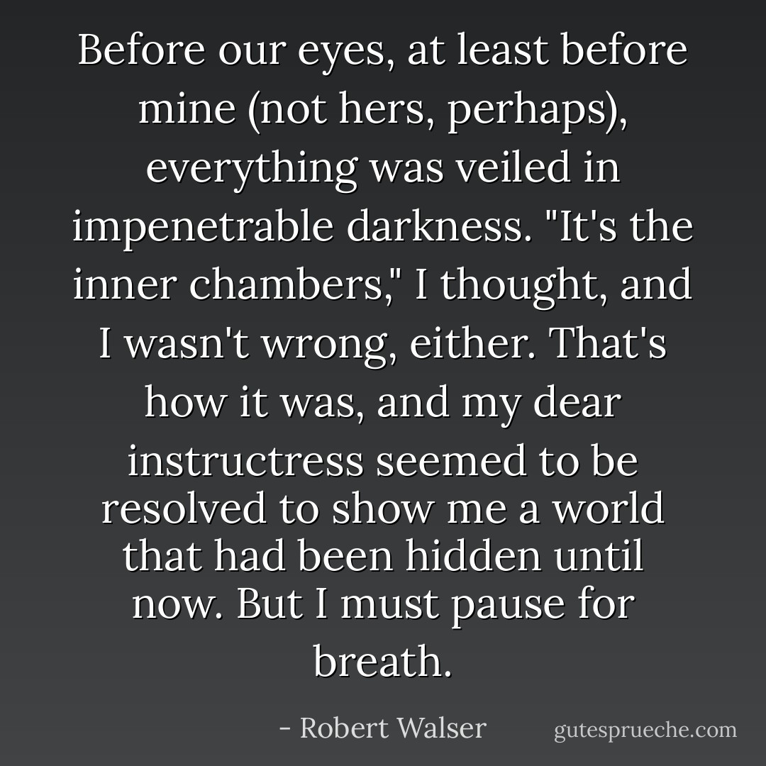 Before our eyes, at least before mine (not hers, perhaps), everything was veiled in impenetrable darkness. "It's the inner chambers," I thought, and I wasn't wrong, either. That's how it was, and my dear instructress seemed to be resolved to show me a world that had been hidden until now. But I must pause for breath. - Robert Walser