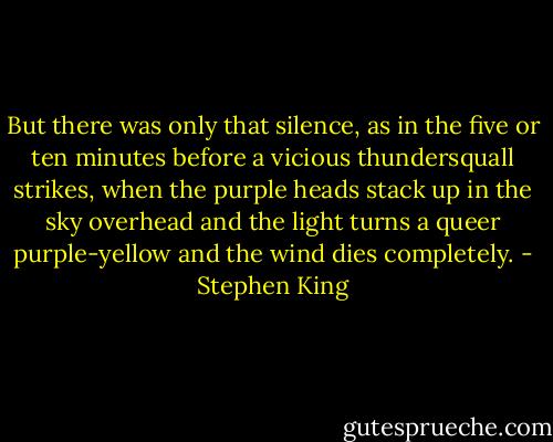But there was only that silence, as in the five or ten minutes before a vicious thundersquall strikes, when the purple heads stack up in the sky overhead and the light turns a queer purple-yellow and the wind dies completely. - Stephen King