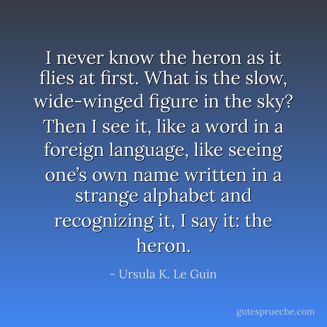 I never know the heron as it flies at first. What is the slow, wide-winged figure in the sky? Then I see it, like a word in a foreign language, like seeing one’s own name written in a strange alphabet and recognizing it, I say it: the heron. - Ursula K. Le Guin