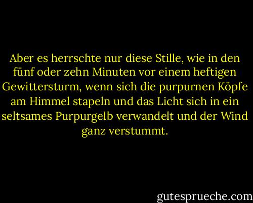 Aber es herrschte nur diese Stille, wie in den fünf oder zehn Minuten vor einem heftigen Gewittersturm, wenn sich die purpurnen Köpfe am Himmel stapeln und das Licht sich in ein seltsames Purpurgelb verwandelt und der Wind ganz verstummt. - Stephen King<