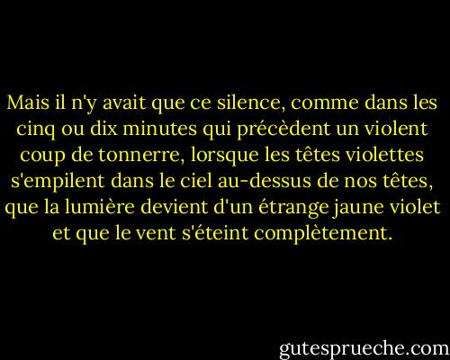 Mais il n'y avait que ce silence, comme dans les cinq ou dix minutes qui précèdent un violent coup de tonnerre, lorsque les têtes violettes s'empilent dans le ciel au-dessus de nos têtes, que la lumière devient d'un étrange jaune violet et que le vent s'éteint complètement. - Stephen King