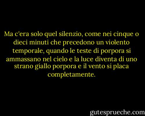 Ma c'era solo quel silenzio, come nei cinque o dieci minuti che precedono un violento temporale, quando le teste di porpora si ammassano nel cielo e la luce diventa di uno strano giallo porpora e il vento si placa completamente. - Stephen King
