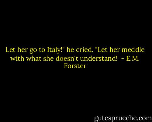 Let her go to Italy!" he cried. "Let her meddle with what she doesn't understand!  - E.M. Forster