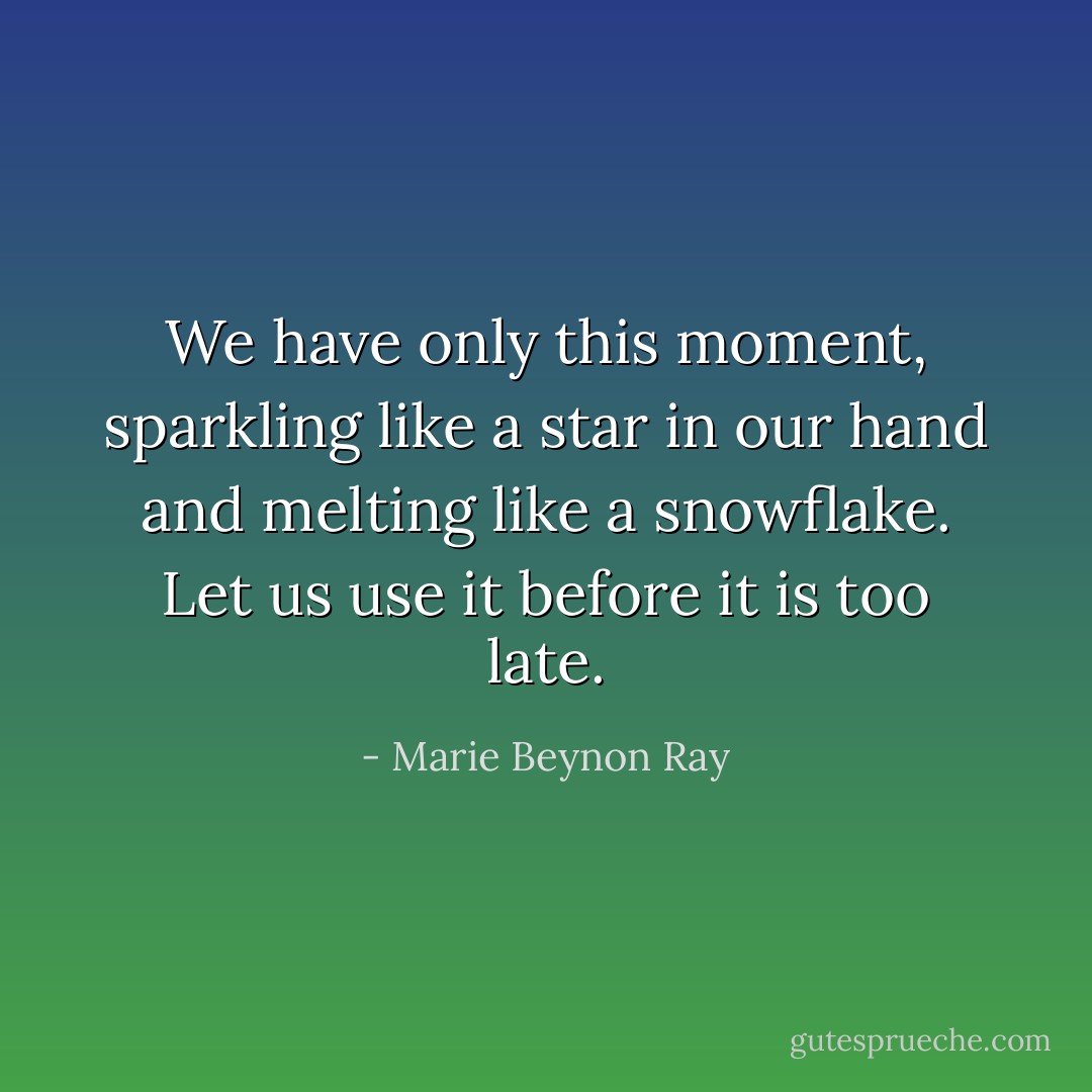 We have only this moment, sparkling like a star in our hand and melting like a snowflake. Let us use it before it is too late. - Marie Beynon Ray