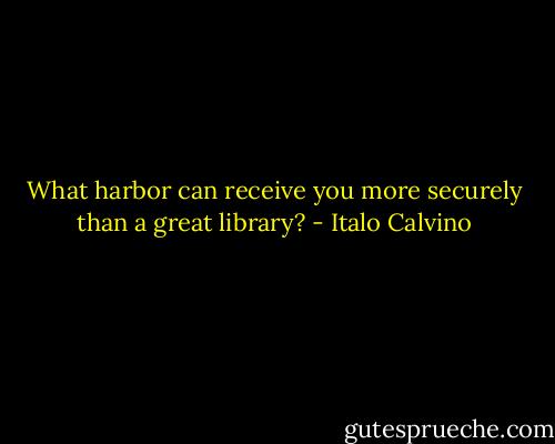 What harbor can receive you more securely than a great library? - Italo Calvino