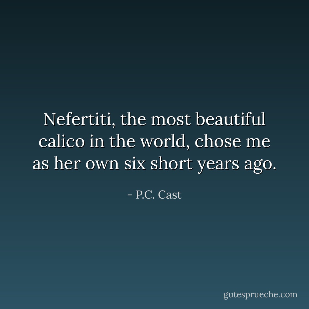 Nefertiti, the most beautiful calico in the world, chose me as her own six short years ago. - P.C. Cast