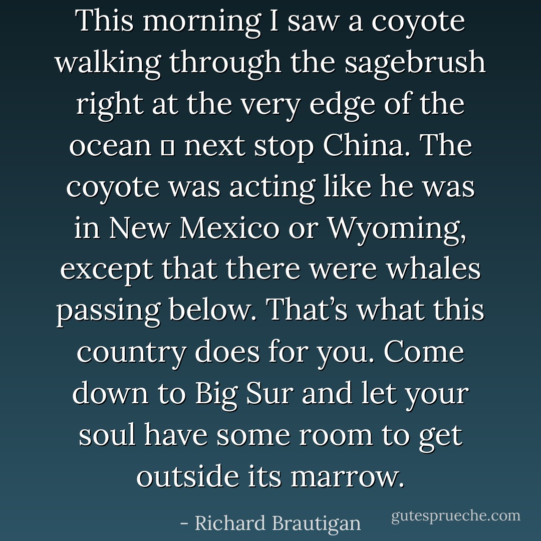 This morning I saw a coyote walking through the sagebrush right at the very edge of the ocean ― next stop China. The coyote was acting like he was in New Mexico or Wyoming, except that there were whales passing below. That’s what this country does for you. Come down to Big Sur and let your soul have some room to get outside its marrow. - Richard Brautigan