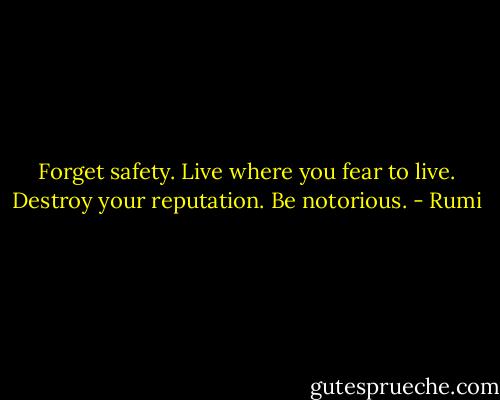 Forget safety.<br />Live where you fear to live.<br />Destroy your reputation.<br />Be notorious. - Rumi