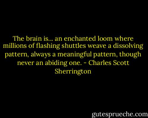 The brain is... an enchanted loom where millions of flashing shuttles weave a dissolving pattern, always a meaningful pattern, though never an abiding one. - Charles Scott Sherrington