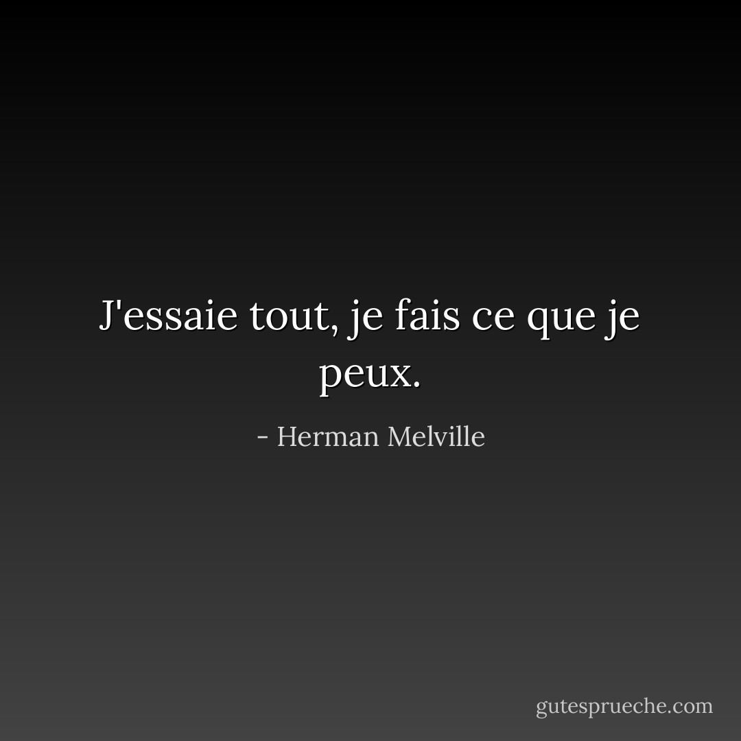J'essaie tout, je fais ce que je peux. - Herman Melville