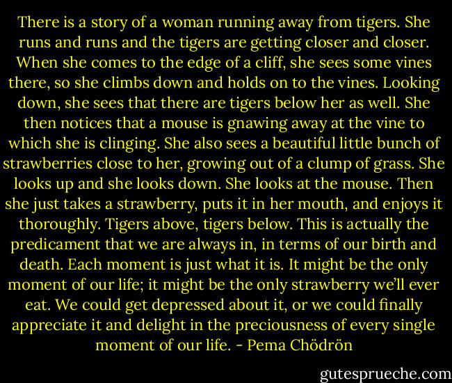 There is a story of a woman running away from tigers. She runs and runs and the tigers are getting closer and closer. When she comes to the edge of a cliff, she sees some vines there, so she climbs down and holds on to the vines. Looking down, she sees that there are tigers below her as well. She then notices that a mouse is gnawing away at the vine to which she is clinging. She also sees a beautiful little bunch of strawberries close to her, growing out of a clump of grass. She looks up and she looks down. She looks at the mouse. Then she just takes a strawberry, puts it in her mouth, and enjoys it thoroughly. Tigers above, tigers below. This is actually the predicament that we are always in, in terms of our birth and death. Each moment is just what it is. It might be the only moment of our life; it might be the only strawberry we’ll ever eat. We could get depressed about it, or we could finally appreciate it and delight in the preciousness of every single moment of our life. - Pema Chödrön