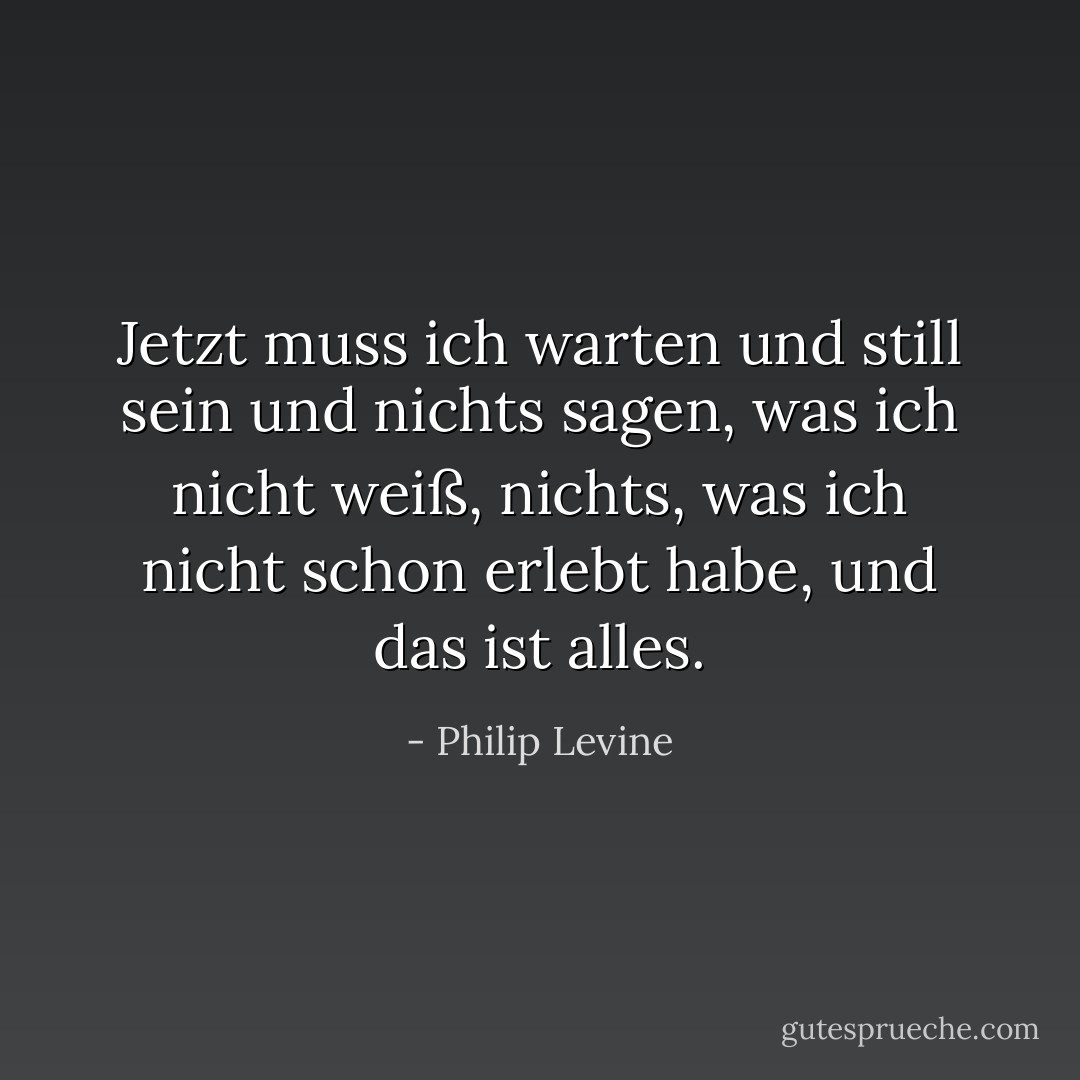 Jetzt muss ich warten und still sein und nichts sagen, was ich nicht weiß, nichts, was ich nicht schon erlebt habe, und das ist alles. - Philip Levine<