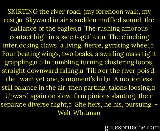 SKIRTING the river road, (my forenoon walk, my rest,)	 <br />Skyward in air a sudden muffled sound, the dalliance of the eagles,	 <br />The rushing amorous contact high in space together,	 <br />The clinching interlocking claws, a living, fierce, gyrating wheel,	 <br />Four beating wings, two beaks, a swirling mass tight grappling,	 5<br />In tumbling turning clustering loops, straight downward falling,	 <br />Till o’er the river pois’d, the twain yet one, a moment’s lull,	 <br />A motionless still balance in the air, then parting, talons loosing,	 <br />Upward again on slow-firm pinions slanting, their separate diverse flight,	 <br />She hers, he his, pursuing. - Walt Whitman
