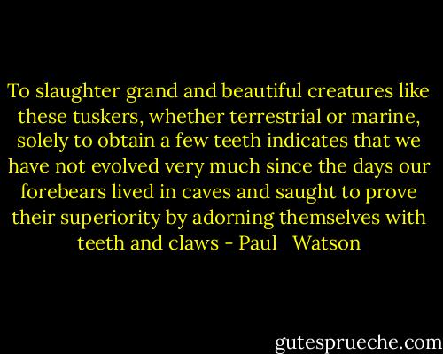 To slaughter grand and beautiful creatures like these tuskers, whether terrestrial or marine, solely to obtain a few teeth indicates that we have not evolved very much since the days our forebears lived in caves and saught to prove their superiority by adorning themselves with teeth and claws - Paul   Watson