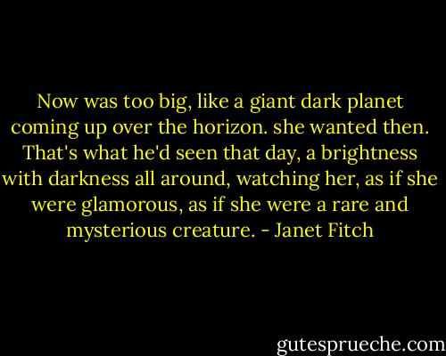 Now was too big, like a giant dark planet coming up over the horizon. she wanted then. That's what he'd seen that day, a brightness with darkness all around, watching her, as if she were glamorous, as if she were a rare and mysterious creature. - Janet Fitch
