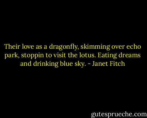 Their love as a dragonfly, skimming over echo park, stoppin to visit the lotus. Eating dreams and drinking blue sky. - Janet Fitch