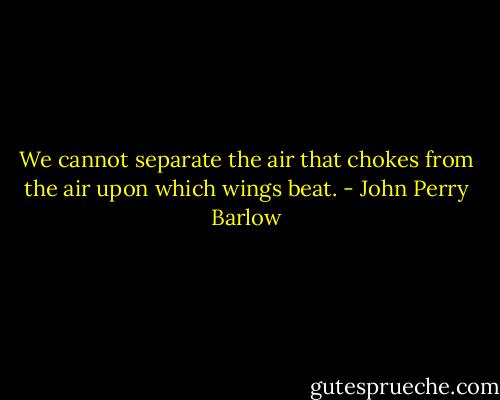 We cannot separate the air that chokes from the air upon which wings beat. - John Perry Barlow
