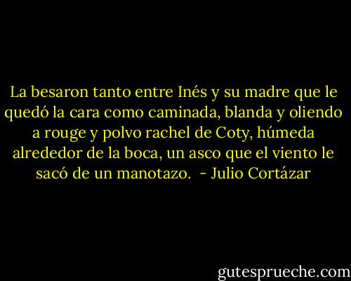 La besaron tanto entre Inés y su madre que le quedó la cara como caminada, blanda y oliendo a rouge y polvo rachel de Coty, húmeda alrededor de la boca, un asco que el viento le sacó de un manotazo.  - Julio Cortázar
