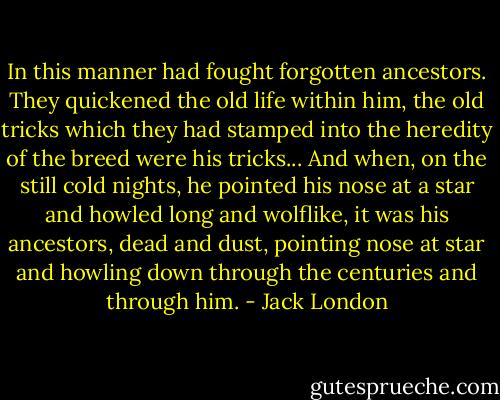 In this manner had fought forgotten ancestors. They quickened the old life within him, the old tricks which they had stamped into the heredity of the breed were his tricks... And when, on the still cold nights, he pointed his nose at a star and howled long and wolflike, it was his ancestors, dead and dust, pointing nose at star and howling down through the centuries and through him. - Jack London