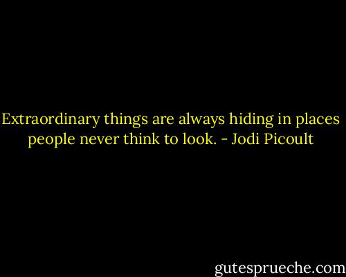 Extraordinary things are always hiding in places people never think to look. - Jodi Picoult