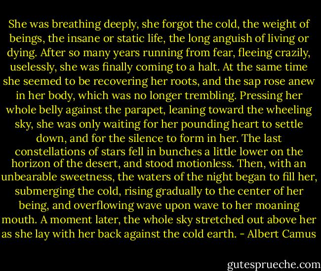 She was breathing deeply, she forgot the cold, the weight of beings, the insane or static life, the long anguish of living or dying. After so many years running from fear, fleeing crazily, uselessly, she was finally coming to a halt. At the same time she seemed to be recovering her roots, and the sap rose anew in her body, which was no longer trembling. Pressing her whole belly against the parapet, leaning toward the wheeling sky, she was only waiting for her pounding heart to settle down, and for the silence to form in her. The last constellations of stars fell in bunches a little lower on the horizon of the desert, and stood motionless. Then, with an unbearable sweetness, the waters of the night began to fill her, submerging the cold, rising gradually to the center of her being, and overflowing wave upon wave to her moaning mouth. A moment later, the whole sky stretched out above her as she lay with her back against the cold earth. - Albert Camus