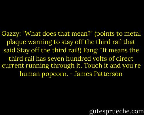 Gazzy: "What does that mean?" (points to metal plaque warning to stay off the third rail that said Stay off the third rail!)<br />Fang: "It means the third rail has seven hundred volts of direct current running through it. Touch it and you're human popcorn. - James Patterson