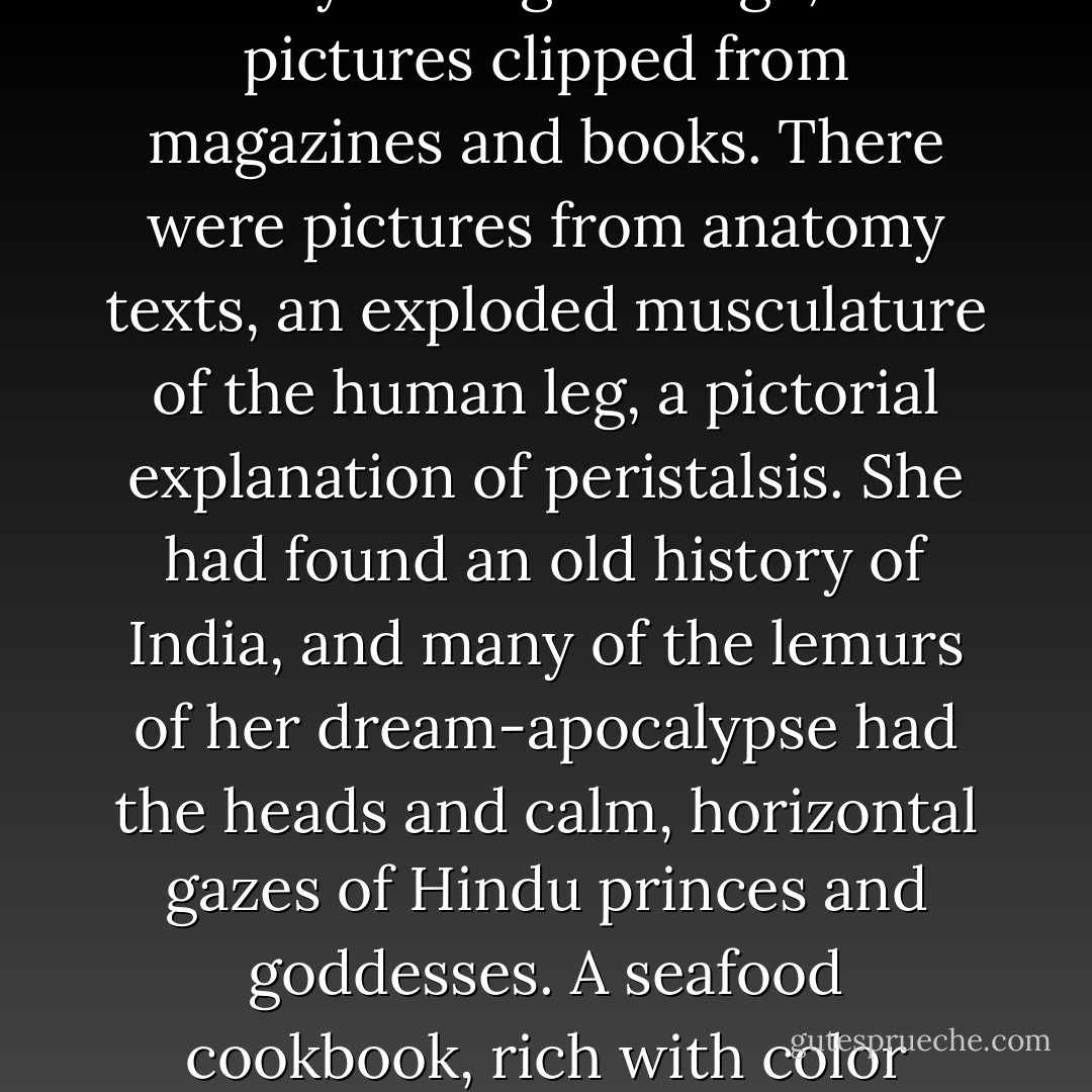Airplane Dream #13' told the story, more or less, of a dream Rosa had had about the end of the world. There were no human beings left but her, and she had found herself flying in a pink seaplane to an island inhabited by sentient lemurs. There seemed to be a lot more to it -- there was a kind of graphic "sound track" constructed around images relating to Peter Tchaikovsky and his works, and of course abundant food imagery -- but this was, as far as Joe could tell, the gist. The story was told entirely through collage, with pictures clipped from magazines and books. There were pictures from anatomy texts, an exploded musculature of the human leg, a pictorial explanation of peristalsis. She had found an old history of India, and many of the lemurs of her dream-apocalypse had the heads and calm, horizontal gazes of Hindu princes and goddesses. A seafood cookbook, rich with color photographs of boiled crustacea and poached whole fish with jellied stares, had been throughly mined. Sometimes she inscribed text across the pictures, none of which made a good deal of sense to him; a few pages consisted almost entirely of her brambly writing, illuminated, as it were, with collage. There were some penciled-in cartoonish marginalia like the creatures found loitering at the edges of pages in medieval books. - Michael Chabon