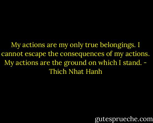 My actions are my only true belongings. I cannot escape the consequences of my actions. My actions are the ground on which I stand. - Thich Nhat Hanh