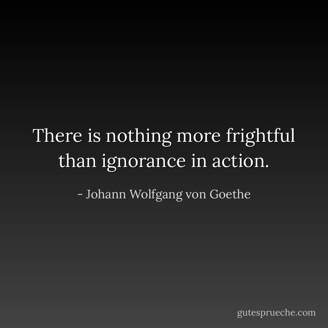 There is nothing more frightful than ignorance in action. - Johann Wolfgang von Goethe